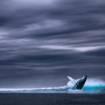Siren crypto crashes 75% after major whale offloads 17 million tokens