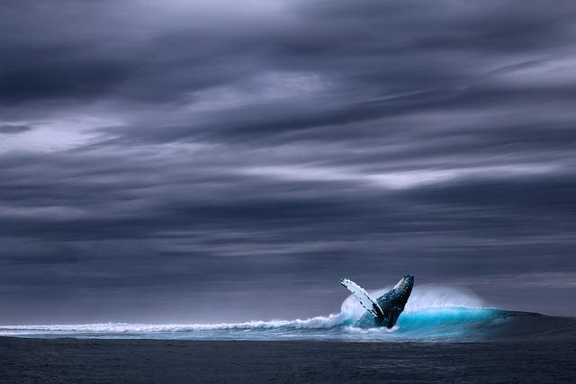 Siren crypto crashes 75% after major whale offloads 17 million tokens