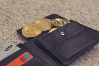 What is a crypto wallet? Hot vs cold, seed phrases, and how to choose