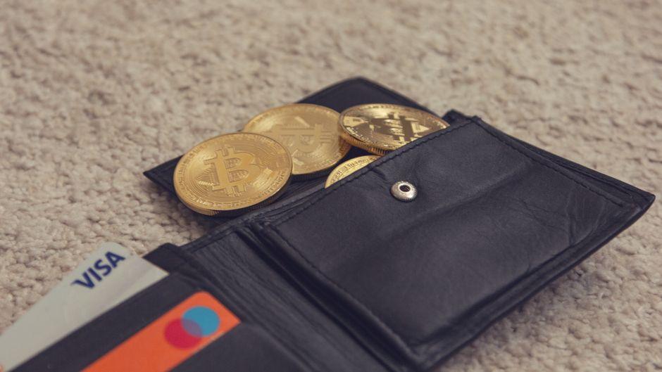 What is a crypto wallet? Hot vs cold, seed phrases, and how to choose
