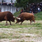 Bitcoin needs $1 trillion for Its next bull run