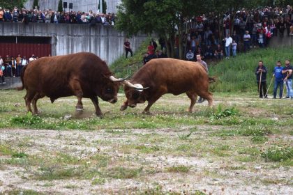 Bitcoin needs $1 trillion for Its next bull run