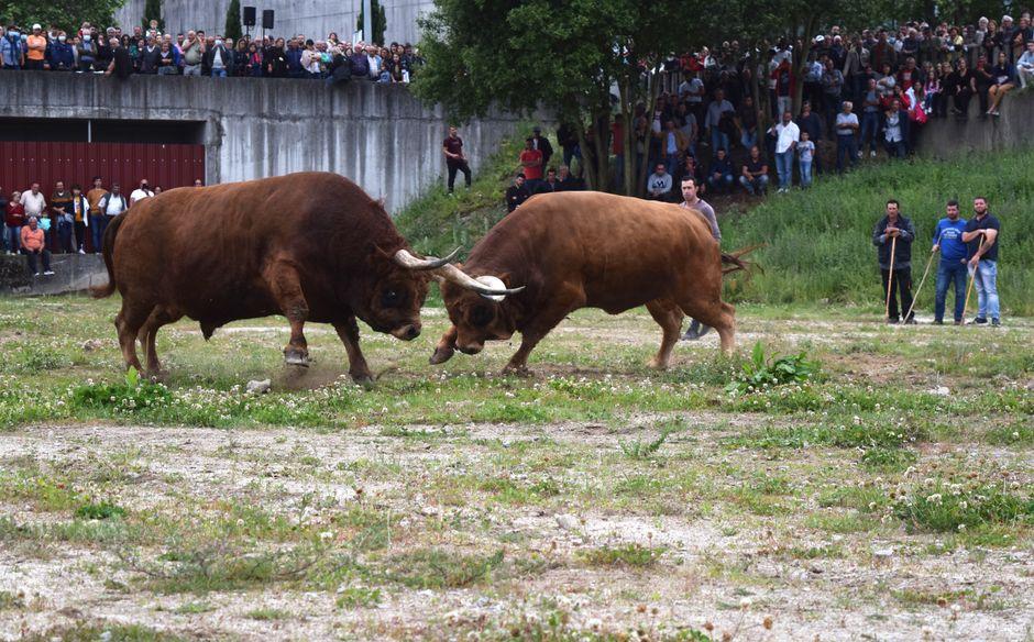 Bitcoin needs $1 trillion for Its next bull run