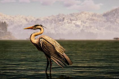 Summer.fi under attack as Blockaid flags $6M exploit