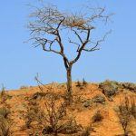 BlackRock breaks ETF drought as Bitcoin flashes fresh rally signal
