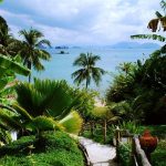Why did the Thailand SEC file a criminal complaint against Bitkub?