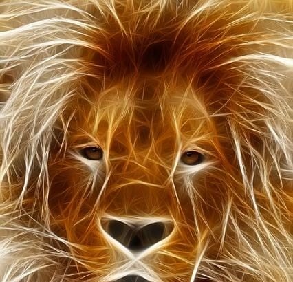 Tokenized Nvidia found its first real market: memecoin collateral