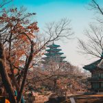 Fintech giant KSNet joins Solana Foundation to trial Solana Pay in South Korea