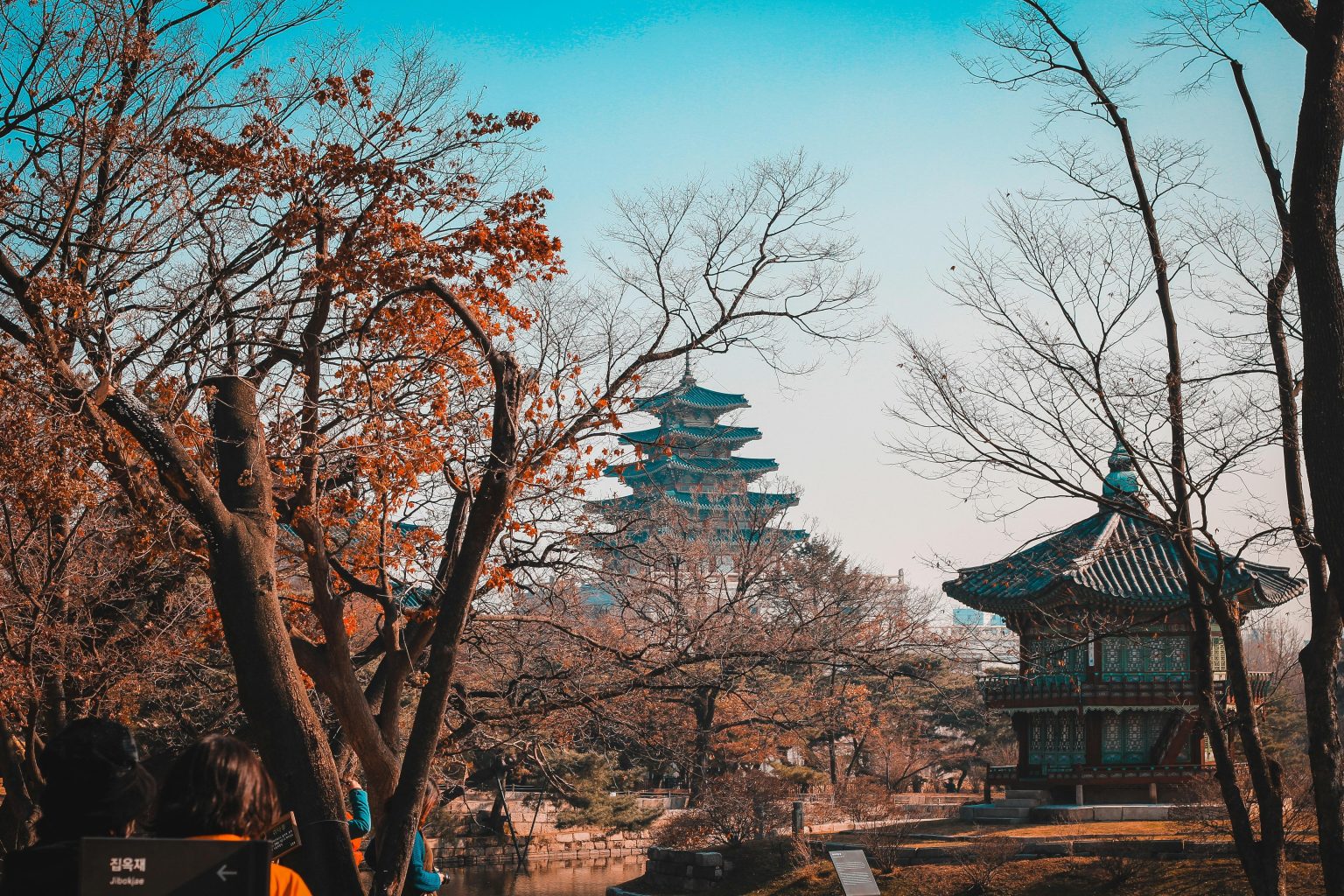 Fintech giant KSNet joins Solana Foundation to trial Solana Pay in South Korea