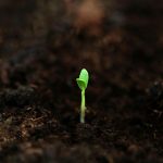 What is account abstraction and why seed phrases are becoming optional