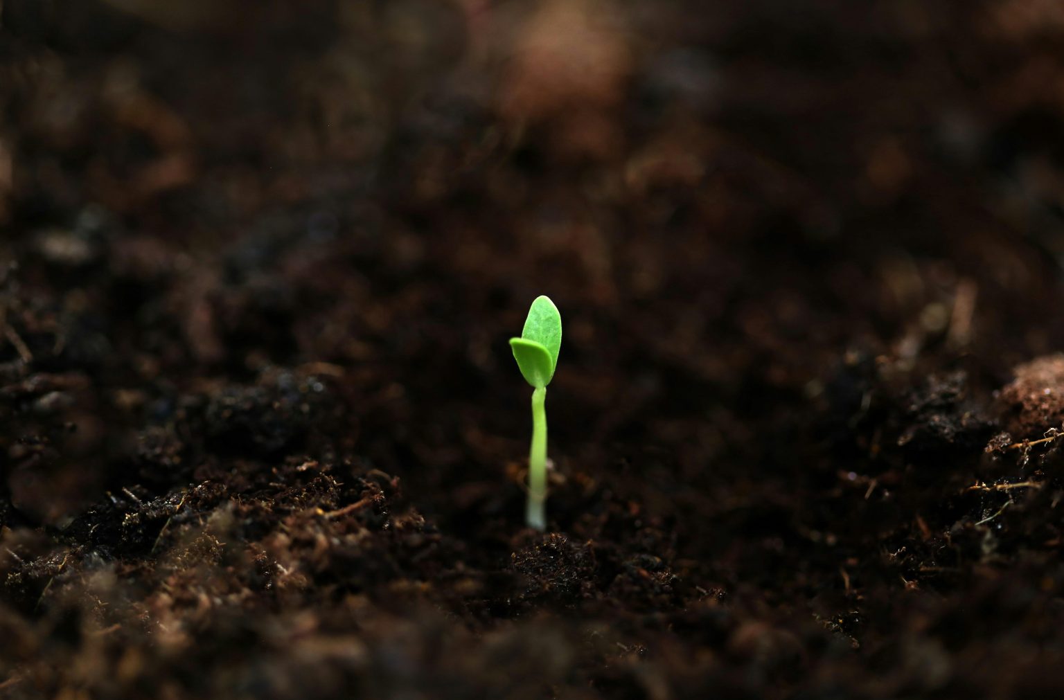 What is account abstraction and why seed phrases are becoming optional