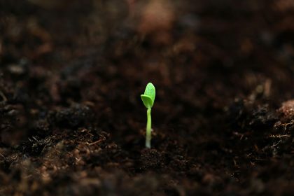 What is account abstraction and why seed phrases are becoming optional