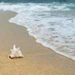 September 15 and the bill: How XRP holders can turn the tide against the trend and earn $10,000 a day