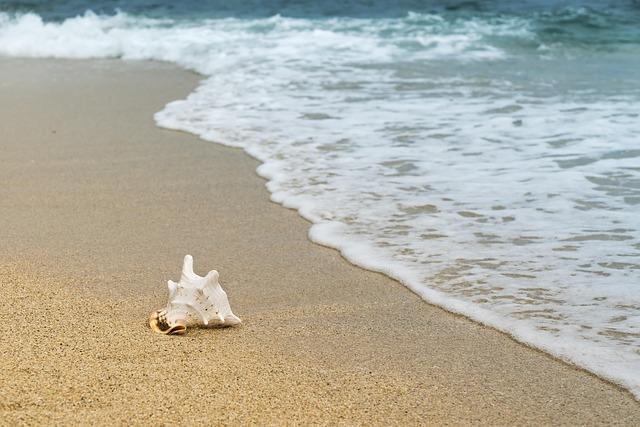 September 15 and the bill: How XRP holders can turn the tide against the trend and earn $10,000 a day