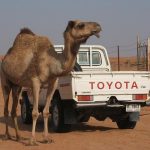 Toyota Finance launches ¥1 billion tokenized bond via Toyota Wallet