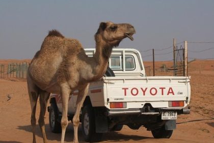 Toyota Finance launches ¥1 billion tokenized bond via Toyota Wallet