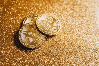 Arthur Hayes proposes 20% FLOP testnet allocation