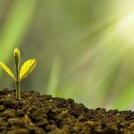 Stable Sea adds 2 WisdomTree funds for corporate cash