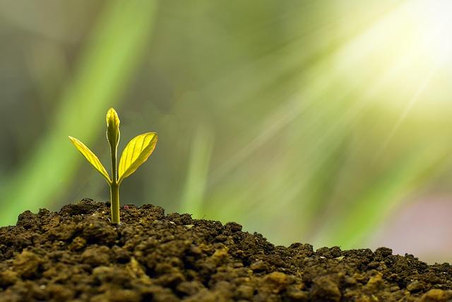 Stable Sea adds 2 WisdomTree funds for corporate cash