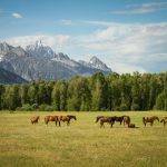 Warsh’s Jackson Hole speech puts rate hike on the table