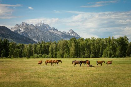 Warsh’s Jackson Hole speech puts rate hike on the table