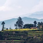 Polygon co-founder launches Nepal crypto relief drive