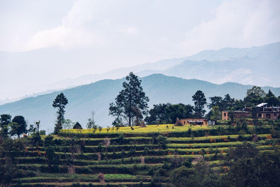 Polygon co-founder launches Nepal crypto relief drive