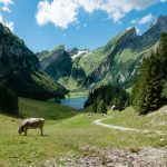 Bitcoin Suisse to cut up to 60 Swiss jobs in overhaul