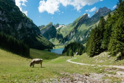Bitcoin Suisse to cut up to 60 Swiss jobs in overhaul