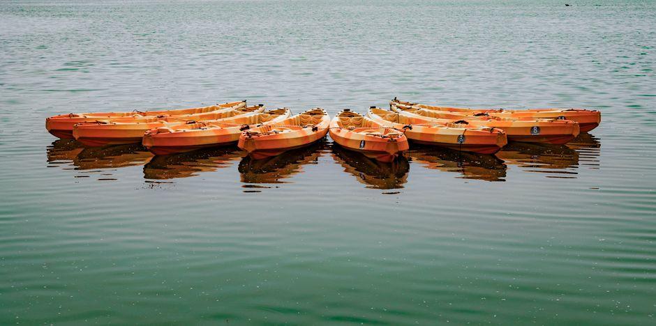 XRP rebounds past $1.50 as Evernorth merger vote reportedly passes