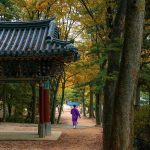 What drove South Korea crypto exchange profits down 78%?
