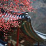 South Korea crypto trading drops 20% in a week