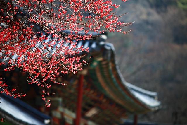 South Korea crypto trading drops 20% in a week