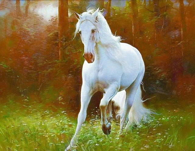 OKXICE stock tokens face 10 opt-outs, Figure’s Mike Cagney says