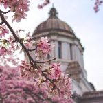 The CLARITY Act stalled. Can Congress pass crypto tax rules first?