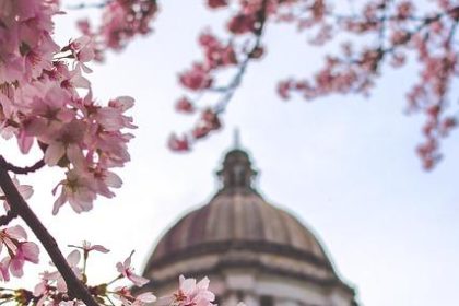 The CLARITY Act stalled. Can Congress pass crypto tax rules first?